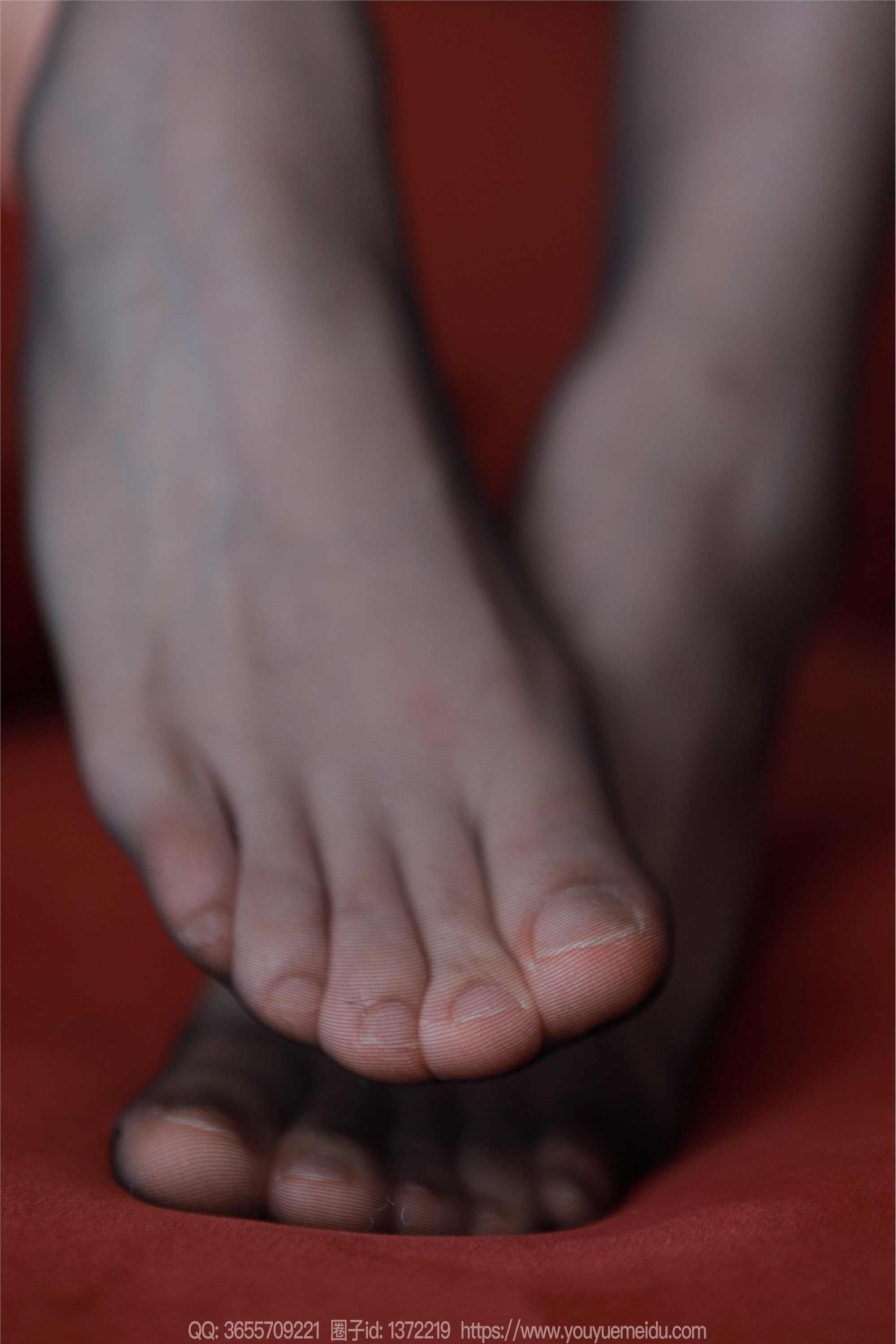 IESS异思趣向  2024.04.11 丝享家 1713 小婕《红色沙发（下）》